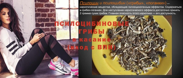 гидропоника Армянск